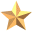 icon star 
